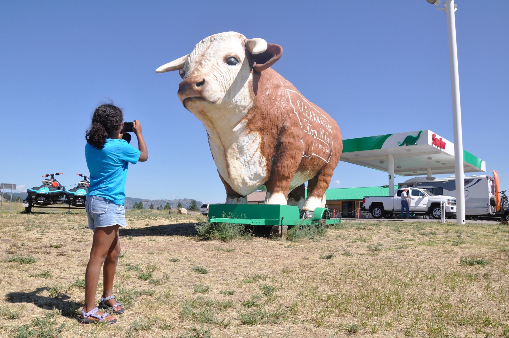 Biggest cow